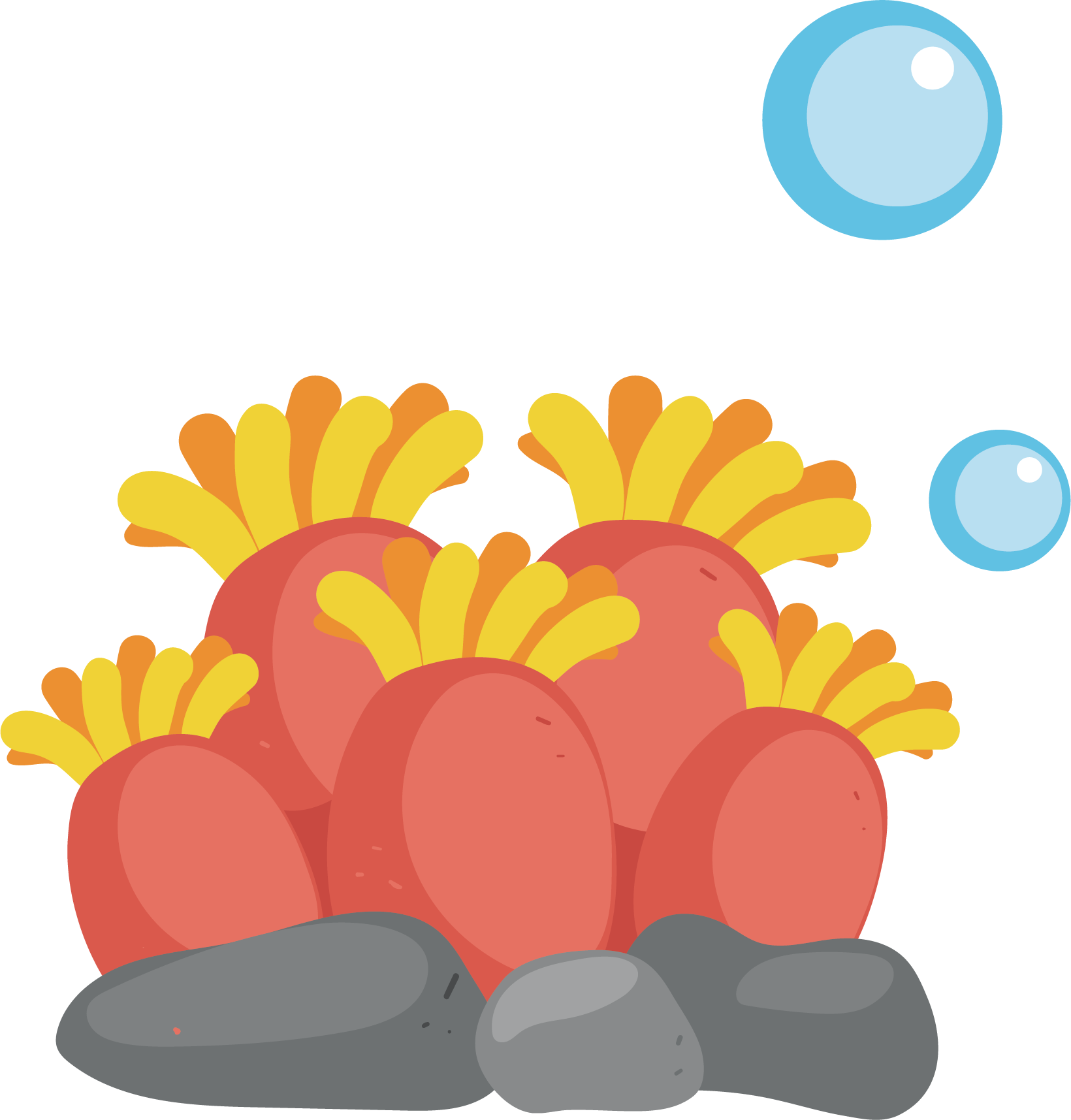 Crxe9teil Cartoon Clip Art - Coral Cartoon Png (1640x1715)