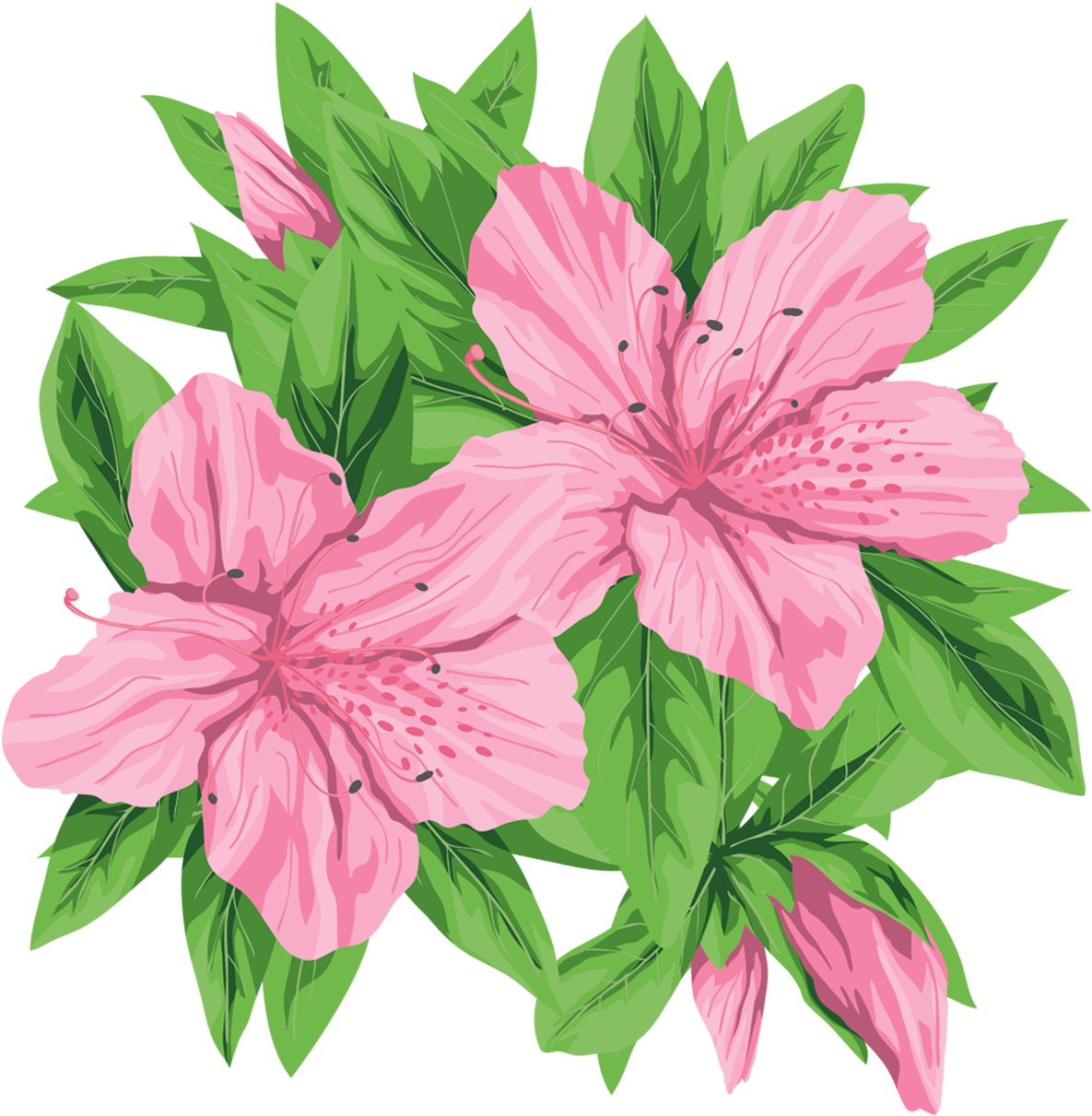 Pink Flowers Png Clip Art Imageu200b Gallery Yopriceville - Pink Flowers Png Clip Art Imageu200b Gallery Yopriceville (1270x1223)