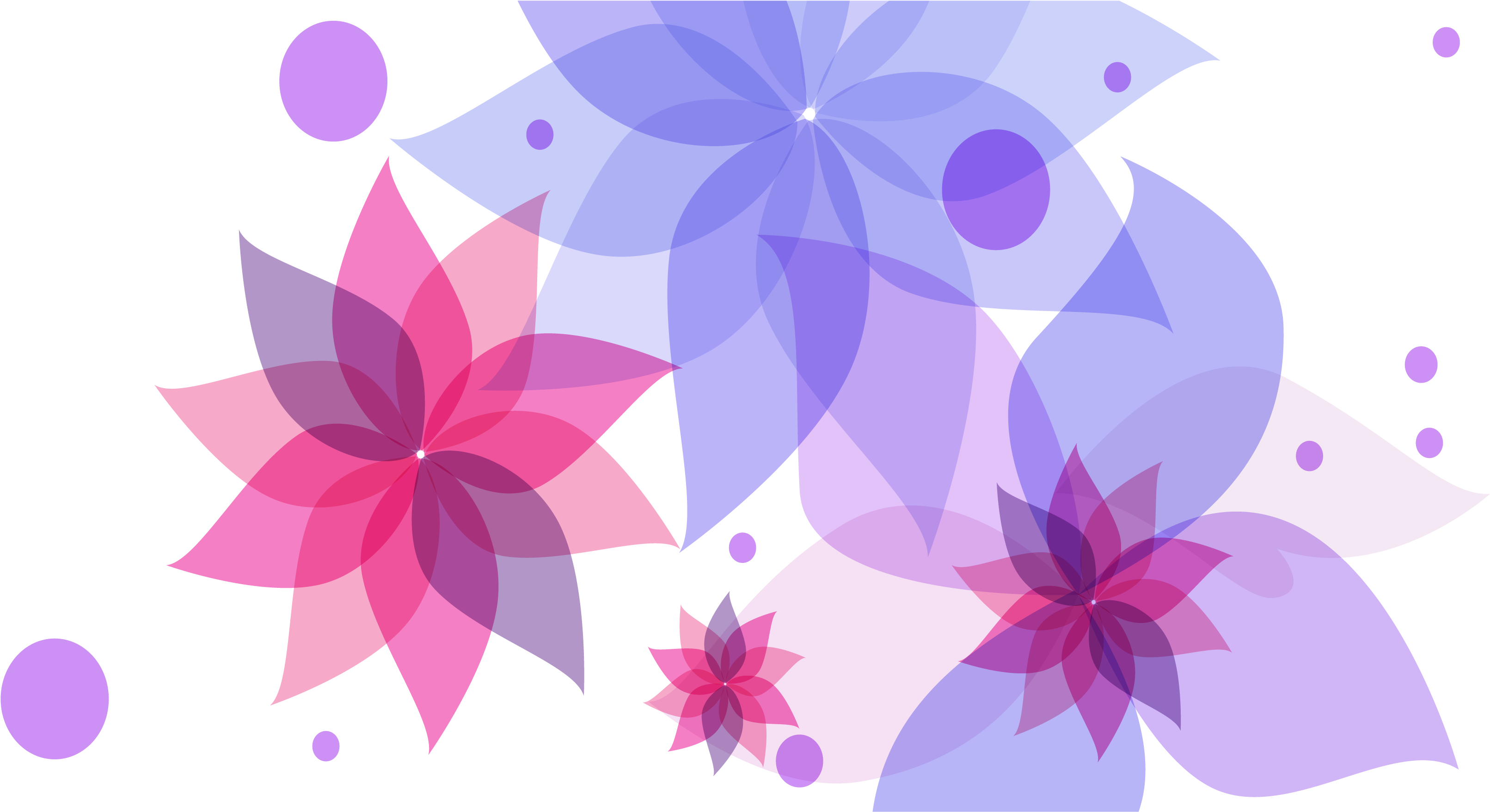 Flower Petal Floral Design Euclidean Vector - Flower Petal Floral Design Euclidean Vector (3717x2424)