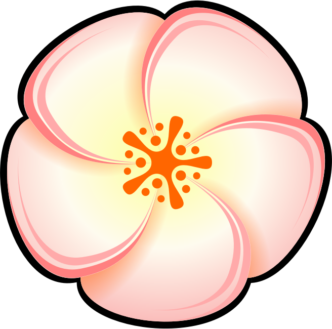 Peach Flower Clipart - Colored Flower Clipart (656x650)