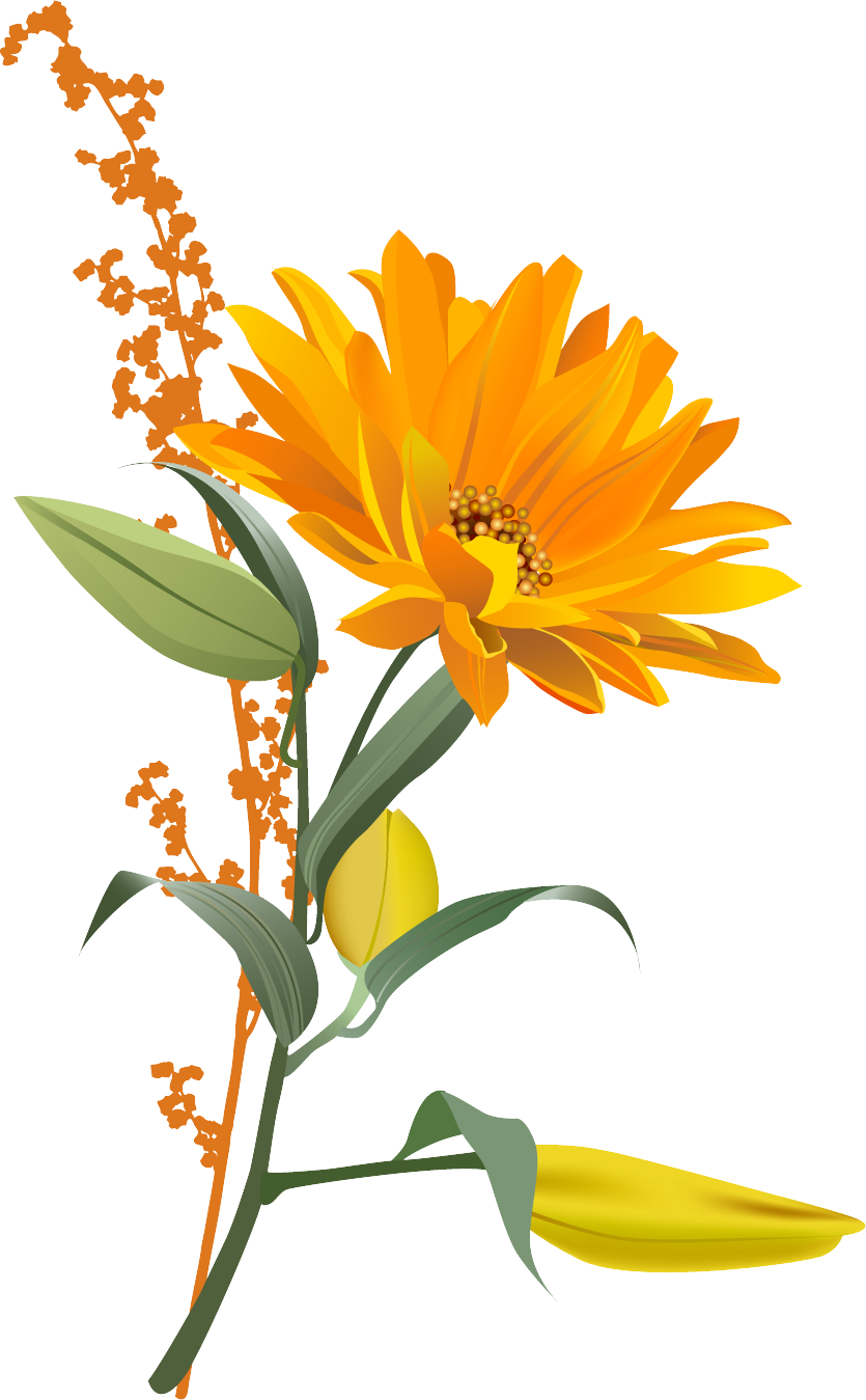 Free Download Of Sunflower Icon Clipart Image - Testigos De Jehova Online (835x1349)