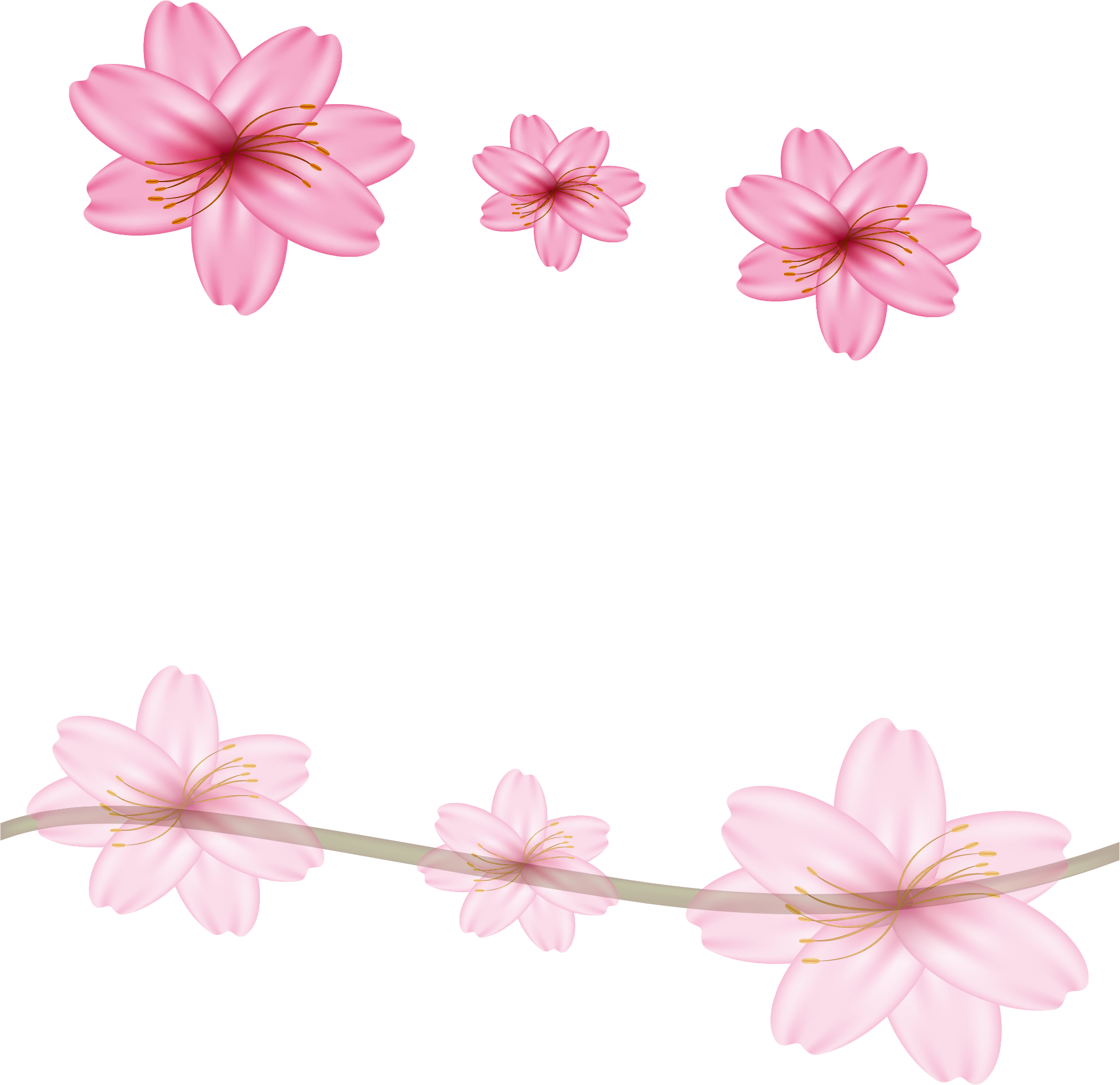 Floral Design Cherry Blossom Flower - Floral Design Cherry Blossom Flower (2172x2104)
