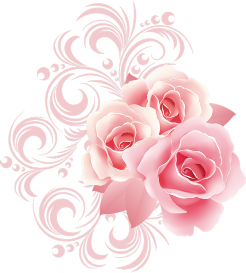Rose Flower Pink Clip Art - Clip Art (800x905)