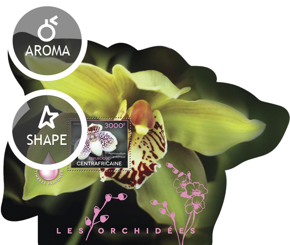 Issue Of Central African Republic Postage Stamps - Central African Republic (600x600)