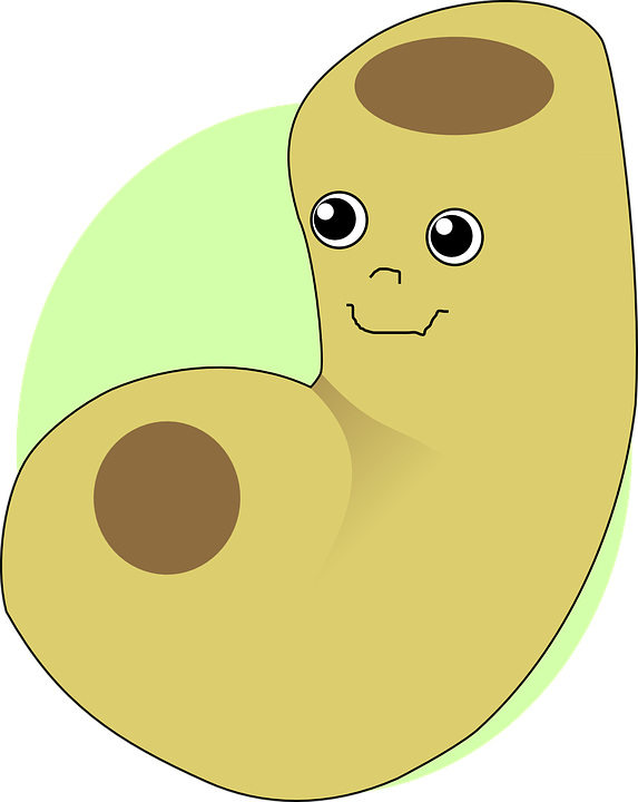 Face Cartoon - Macaroni Cheese Clip Art (573x720)