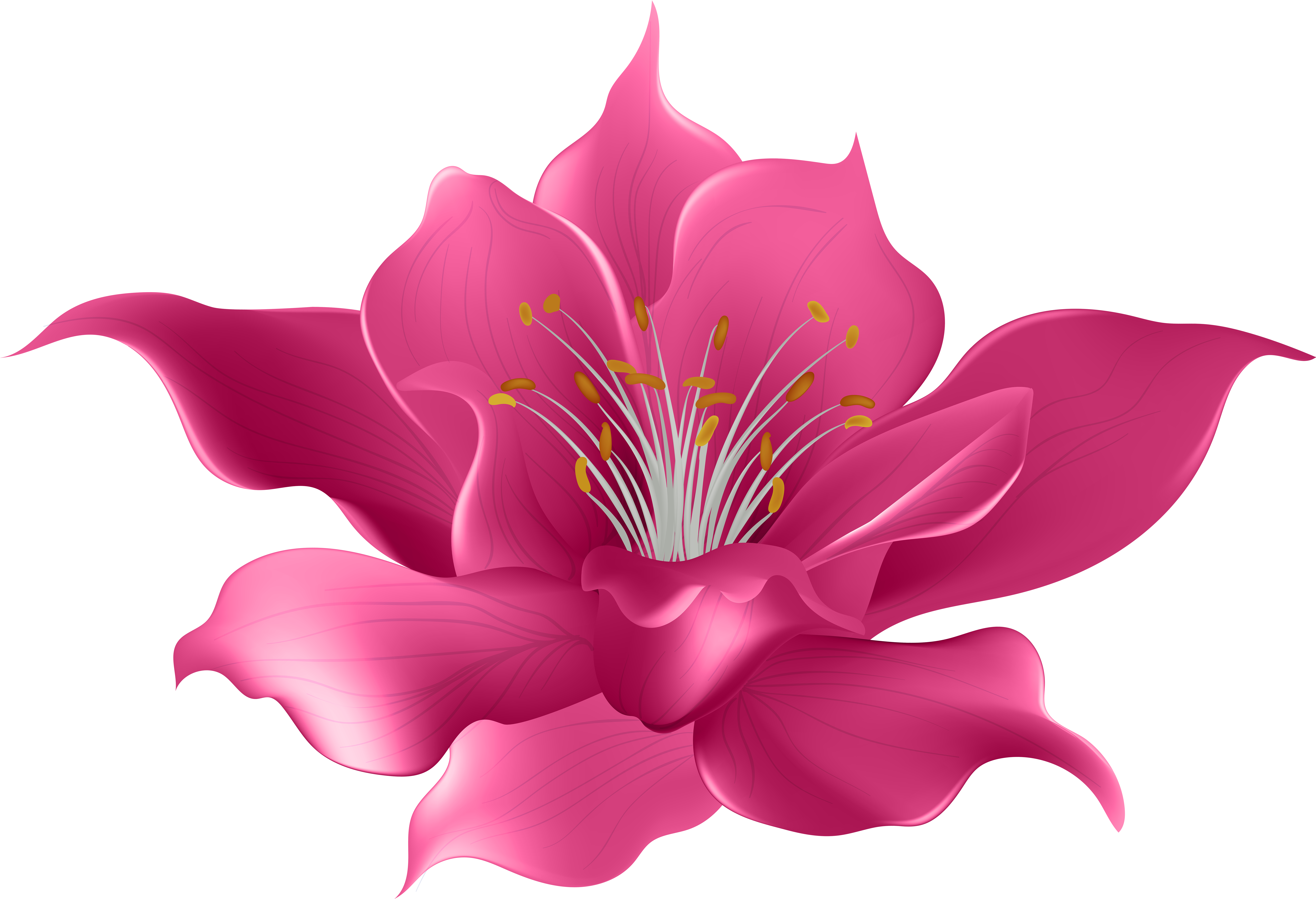 Pink Flower Transparent Clip Art Imageu200b Gallery - Clip Art (8000x5516)
