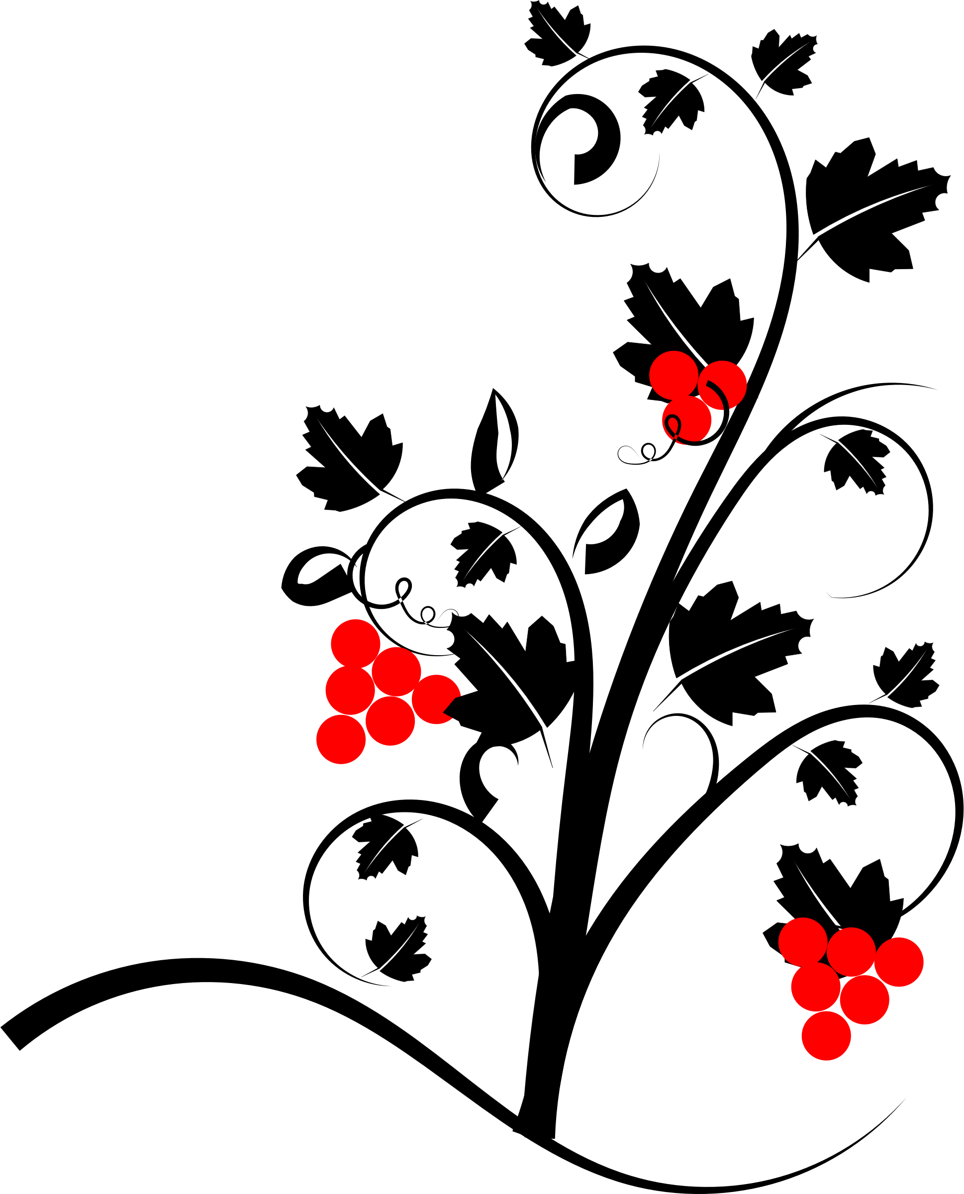 Free Vine - Transparent Vines Black Grey Flower (646x800)