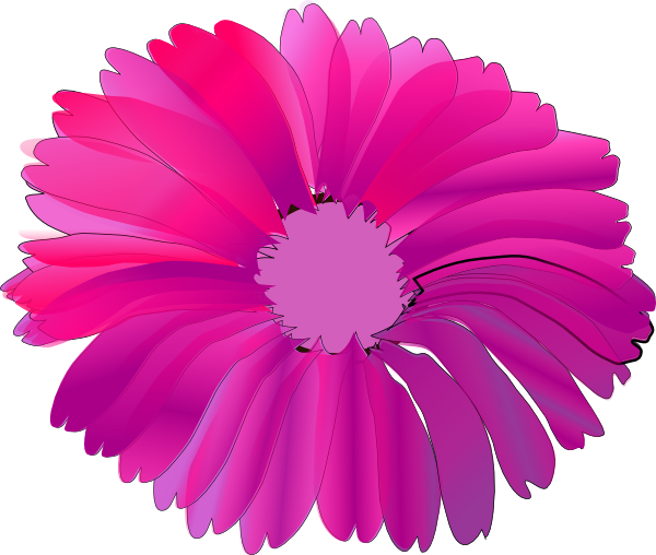 Pink Flower With Black Background Svg Clip Arts 600 - Cactus Flower Clip Art (600x508)