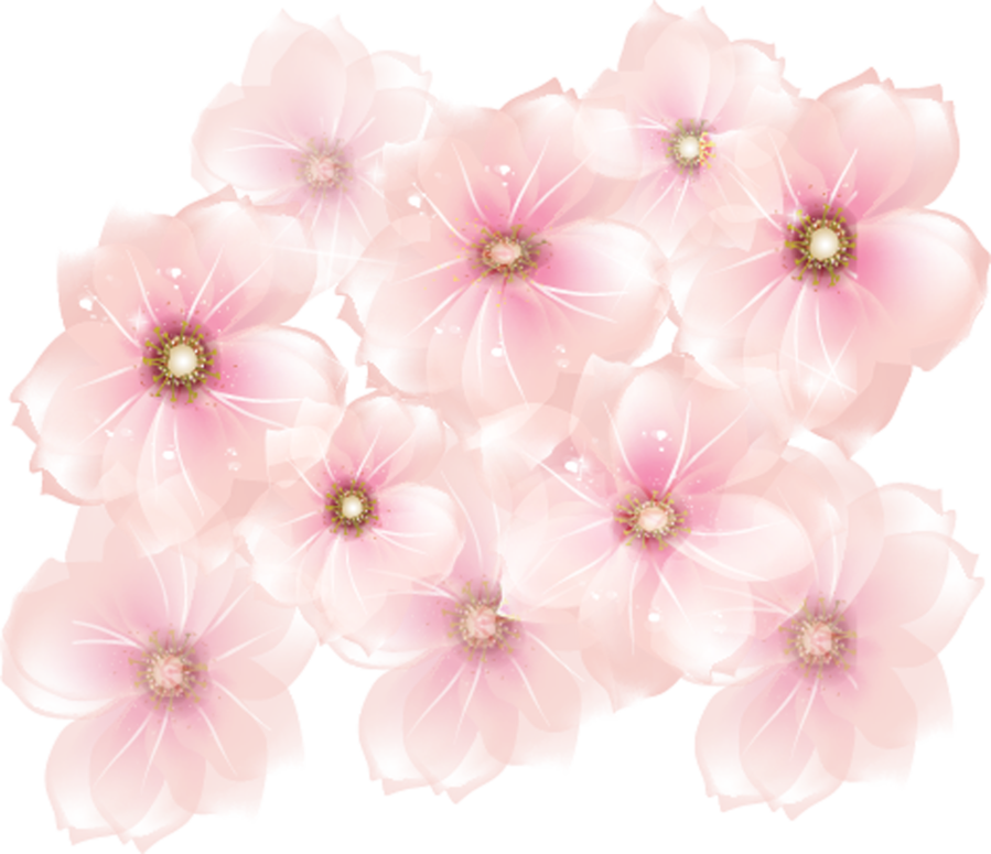 Pink Flower Clipart Transparent - Pink Flowers Transparent Background (899x775)