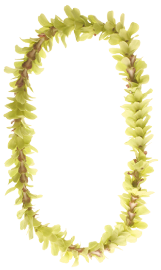 Green - Leis By Ron (375x563)