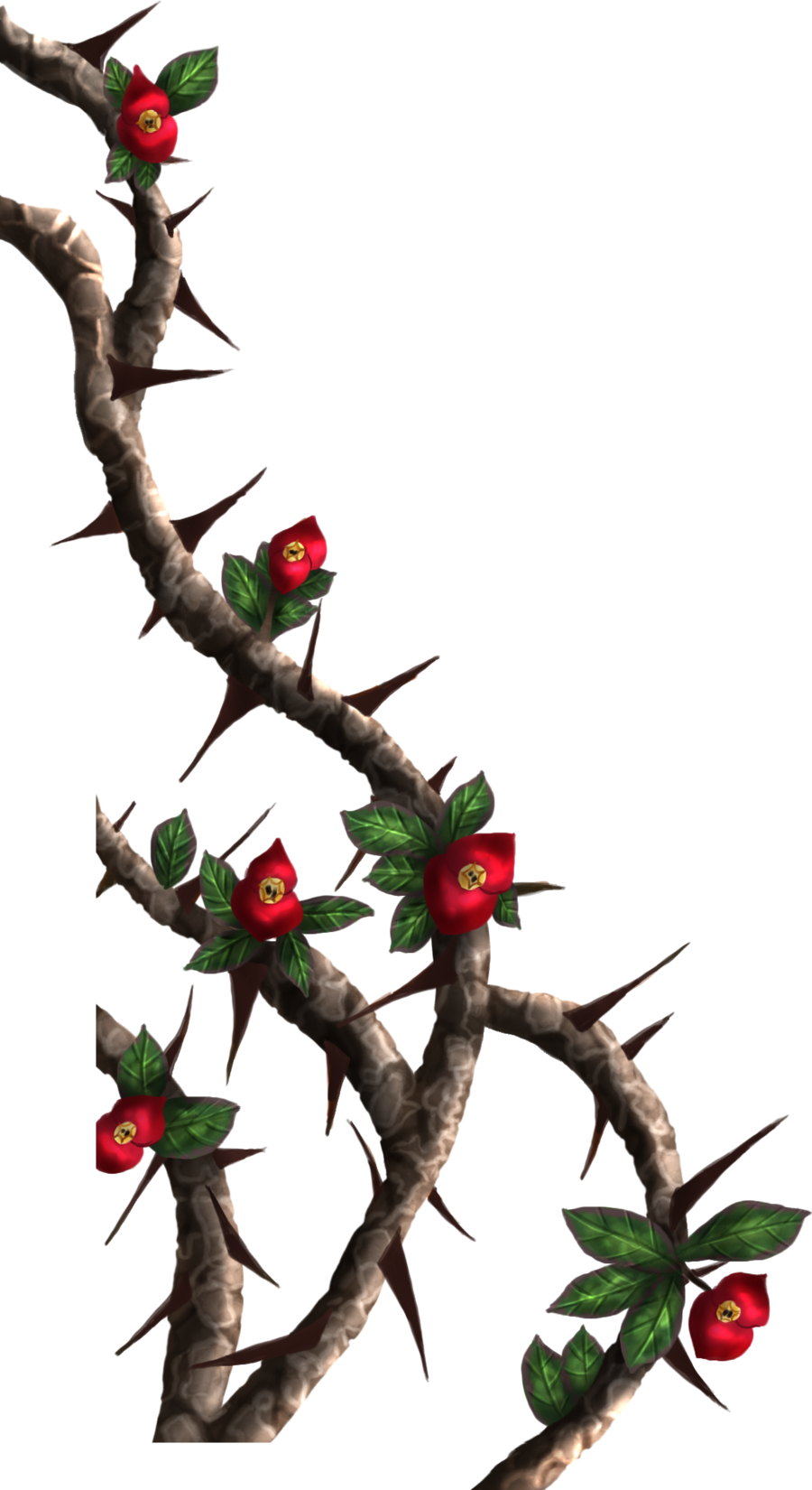Drawn Rose Bush Thorn Bush - Roses With Thorns Png (900x1650)
