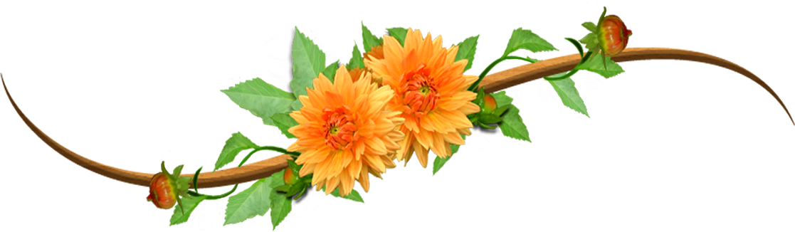 No Orange Clip Art - Orange Flowers Png (1117x326)