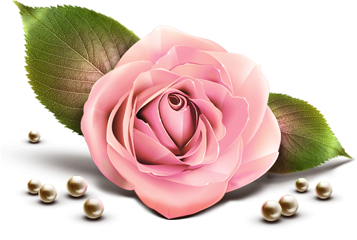 Pink Rose Clip Art - Rose With Pearl Png (512x512)