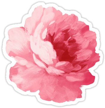 Pink Floral Design Png Flower Pink Peony - Vintage Png (375x360)