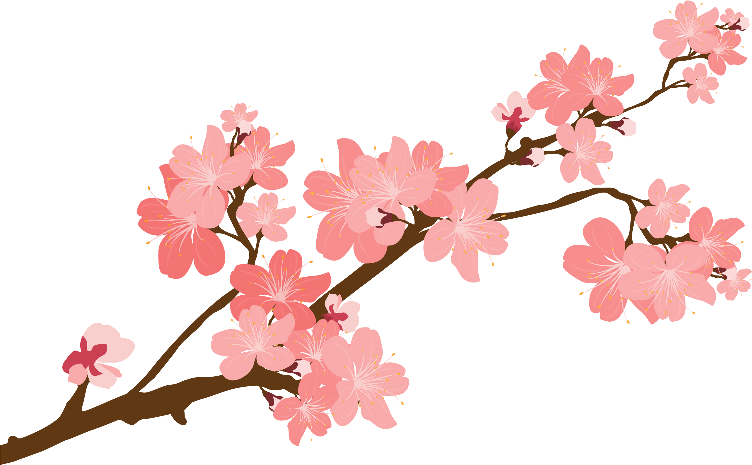 Cherry Blossom Sticker Clip Art - Cherry Blossom Sticker Png.