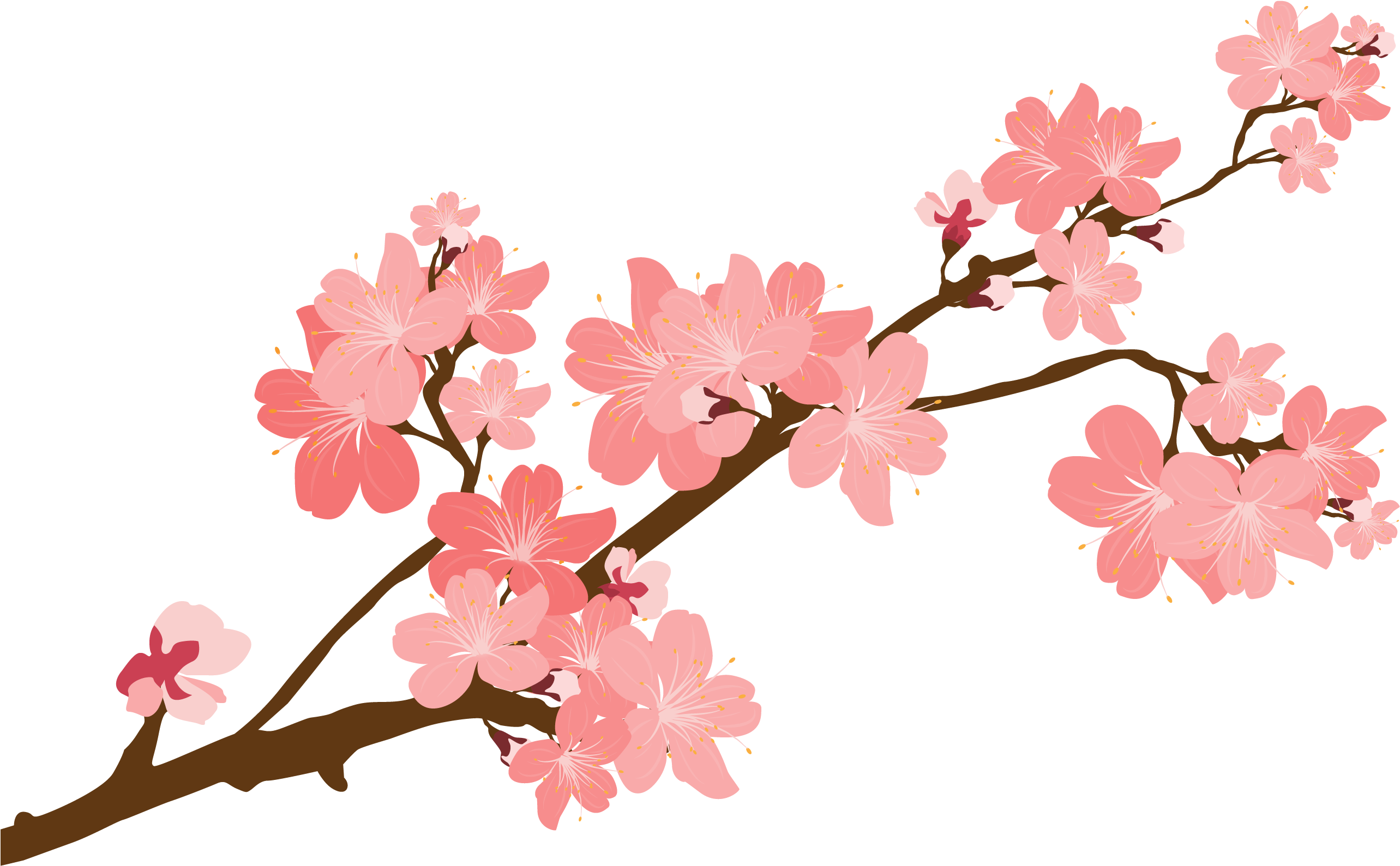 Cherry Blossom Sticker Clip Art - Cherry Blossom Sticker Png (2631x1860)