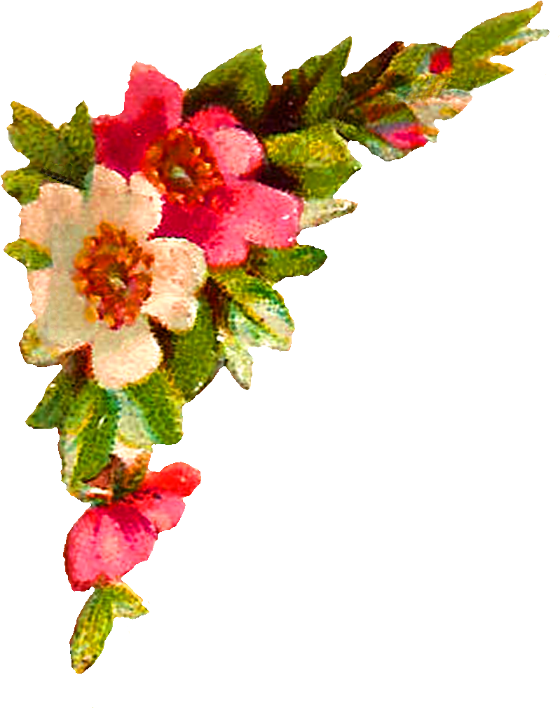 Flower Corner Design Digital - Clip Art (955x1239)