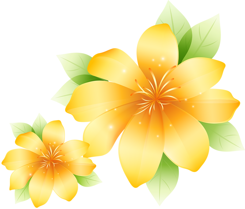 Large Yellow Flower Clipart - Catolicas De Feliz Dia De La Mujer (800x685)