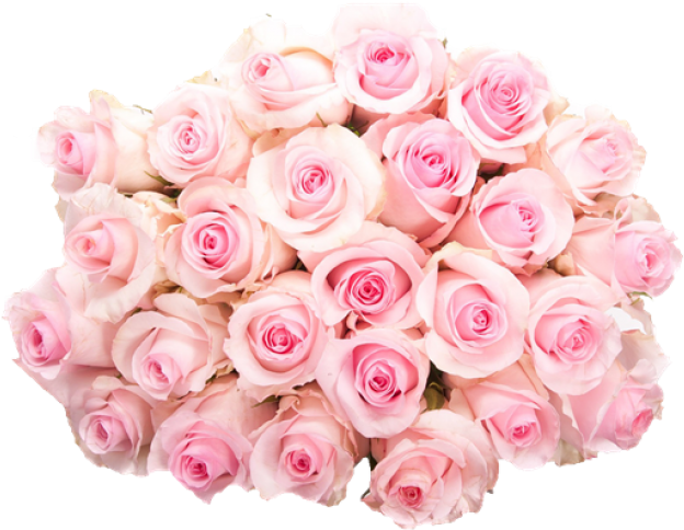 Pink Floral Design Png Flower Pink Rose Bouquet - Rose (780x975)