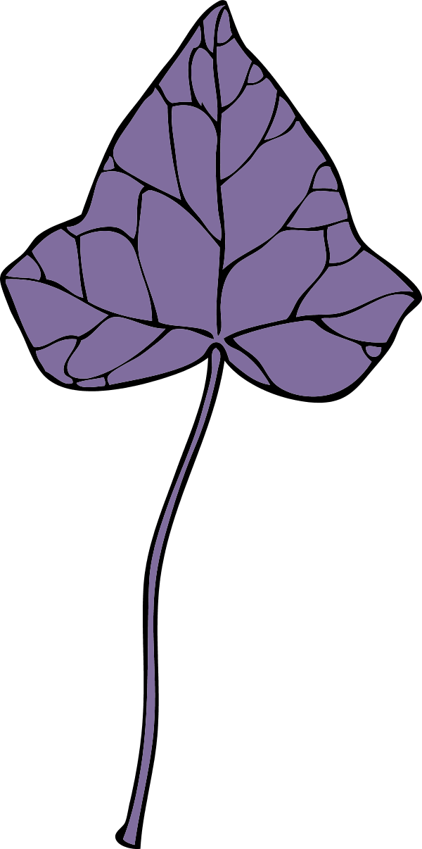 Large Ivy Leaf 7 0 7328 - Clip Art (600x1206)