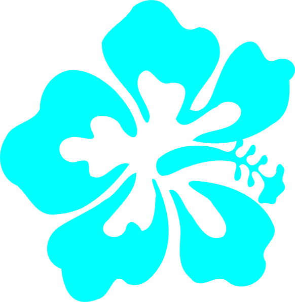 Turquoise Clipart Hibiscus Flower - Hibiscus Clip Art (582x597)