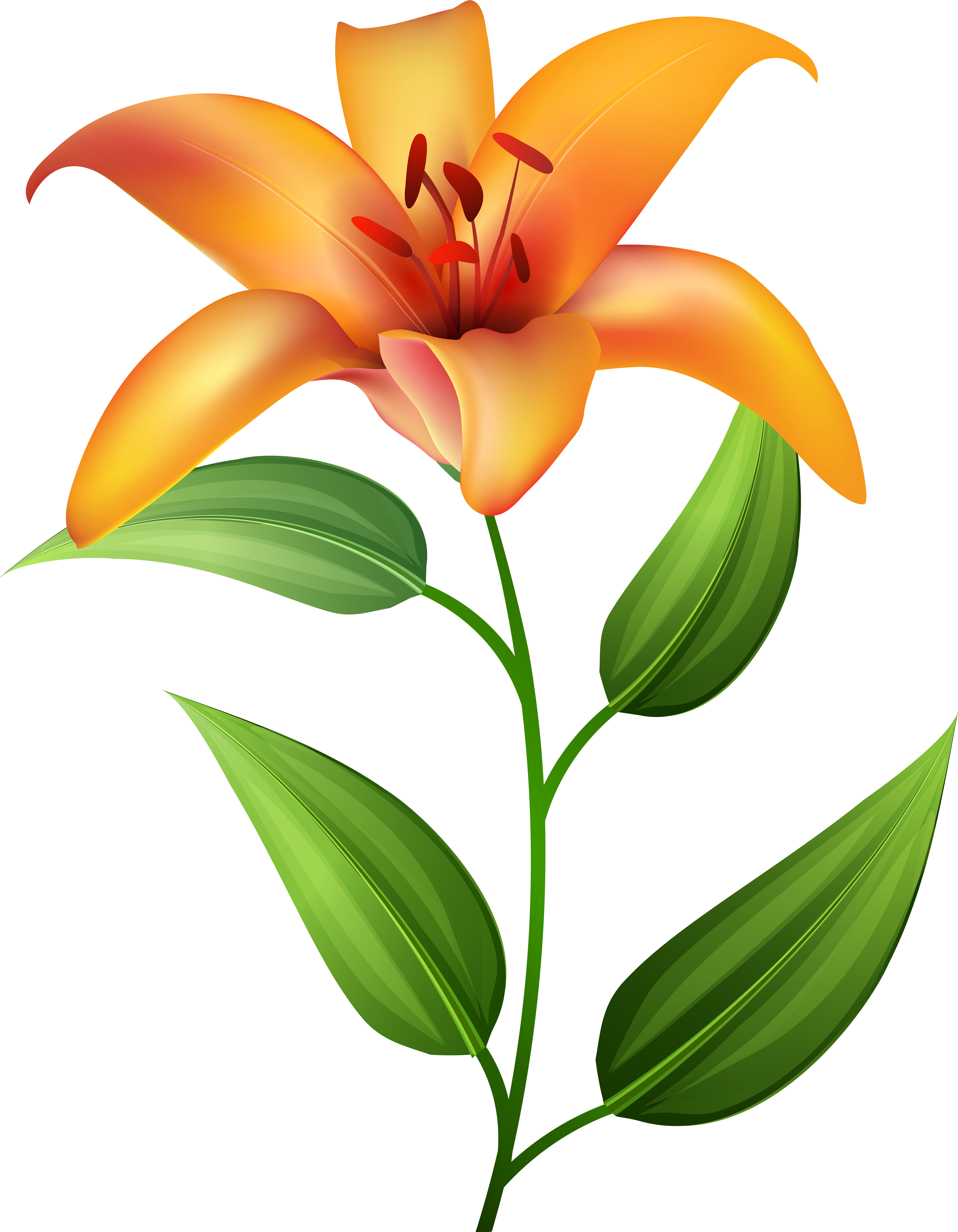 Icon Clip Art - Icon Clip Art (6243x8000)