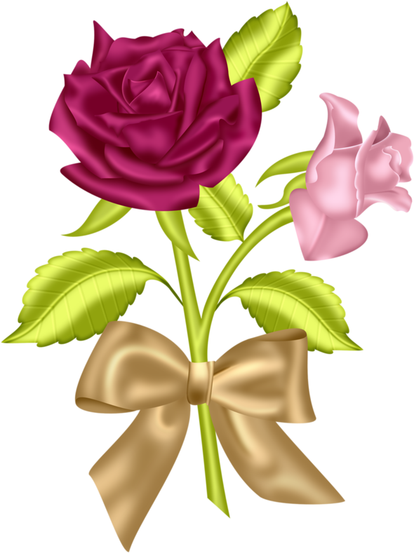 Pin By Наталия Карпиенко On Только Розы - Rose (612x800)