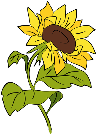 1 - Sunflower (500x500)