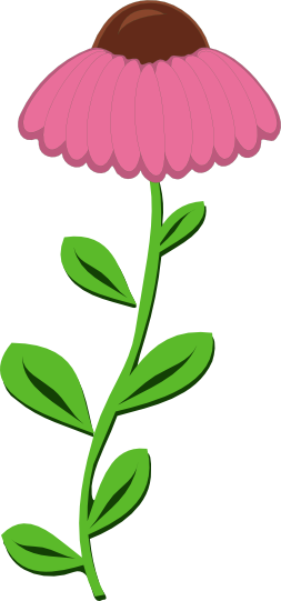 Illustration Of Cone Flower - Illustration Of Cone Flower (253x541)