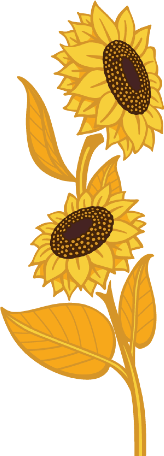 350762 Ch Sunflowerflax 3d Face 03 Hr - 350762 Ch Sunflowerflax 3d Face 03 Hr (561x1561)