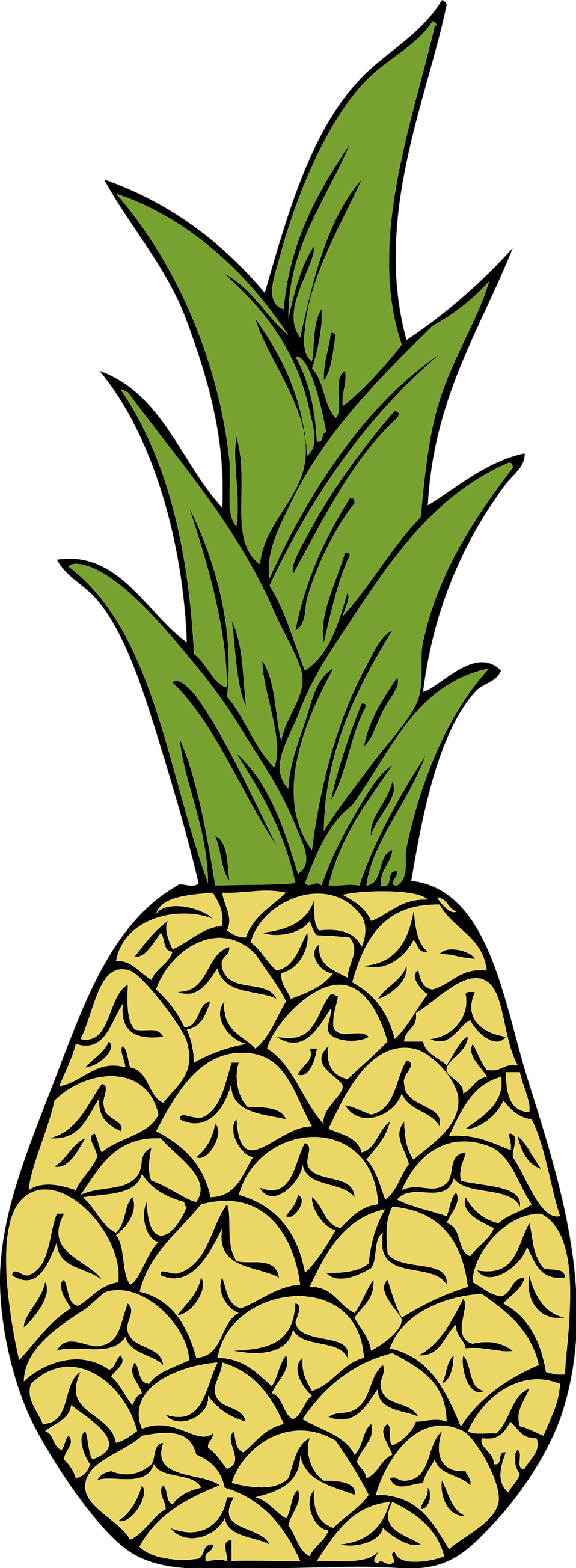 Illustration Of A Pineapple - 3drose Lsp 57288 2 Tropical Pineapple Fruits Yellow (958x2608)