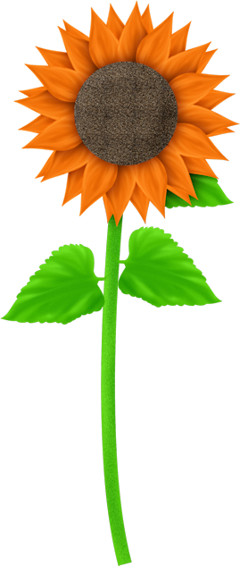 Flower Clipartart - Sticker (269x633)