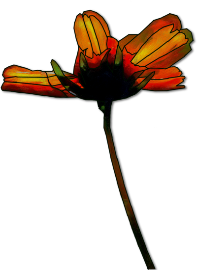 Weird Flower Png (400x550)