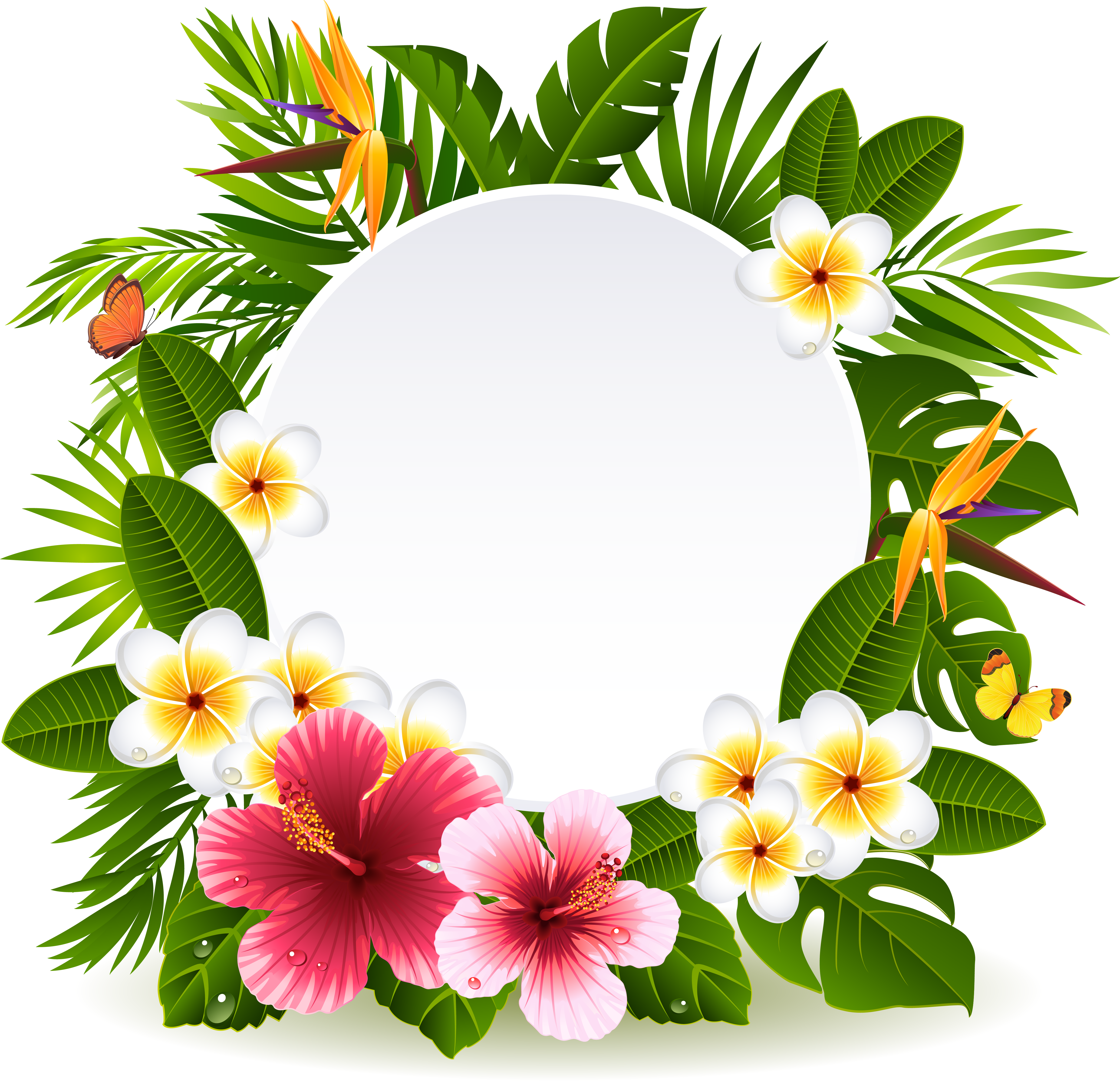 Flower Stock Photography Clip Art - Frame Tropical Png (4820x4652)