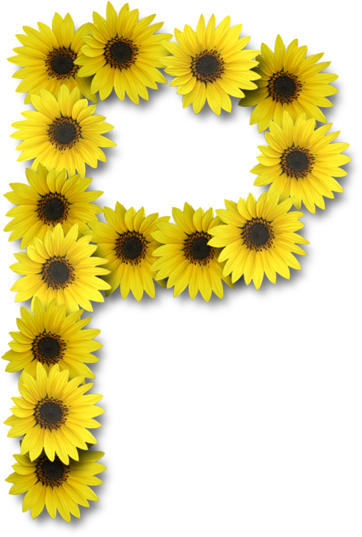 Clip Art - Letter R With Sunflower (508x753)