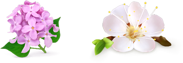 Flower Drawing Royalty-free Floral Design - Flower Drawing Royalty-free Floral Design (709x568)