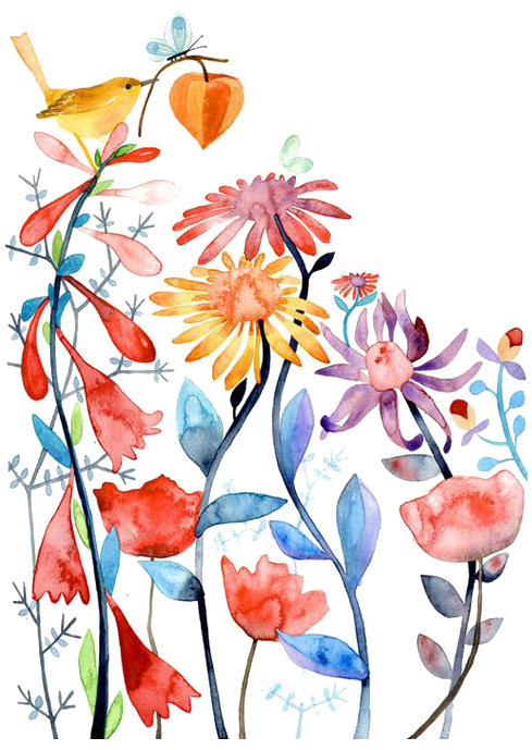 Watercolour Flowers Bird Paper Watercolor Painting - Watercolour Flowers Bird Paper Watercolor Painting (564x798)