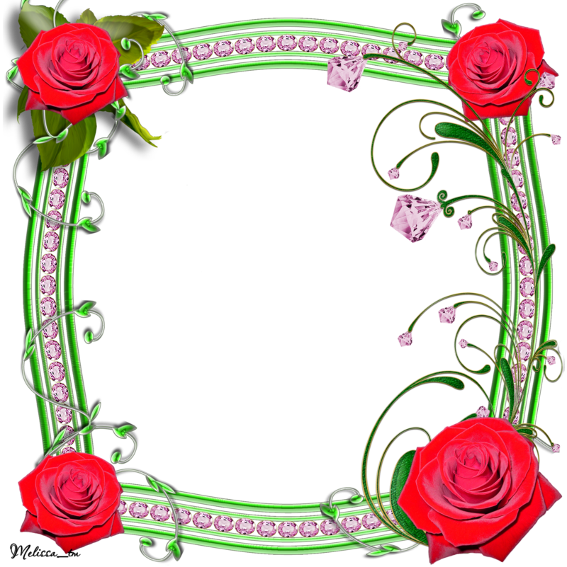 Frame Roses With Swirls Png By Melissa-tm - Frames Png (800x801)