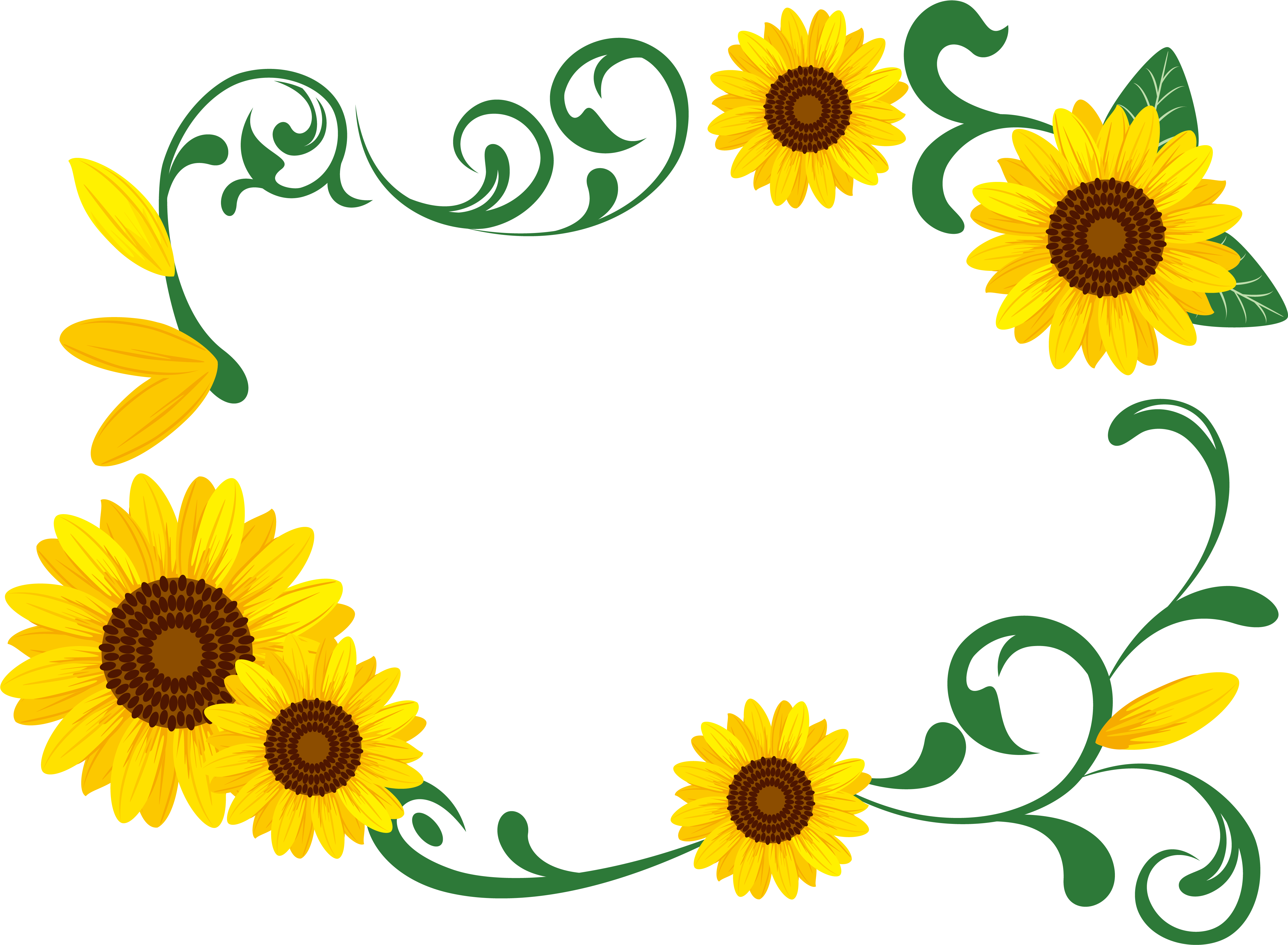 Common Sunflower Photography Illustration - Free Sunflower Garland (5751x4263)