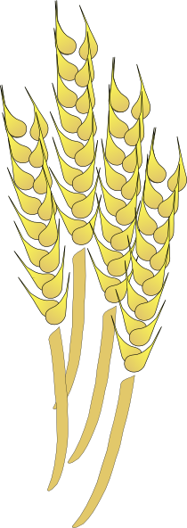Free Clip Art Wheat - Wheat Clip Art (210x592)
