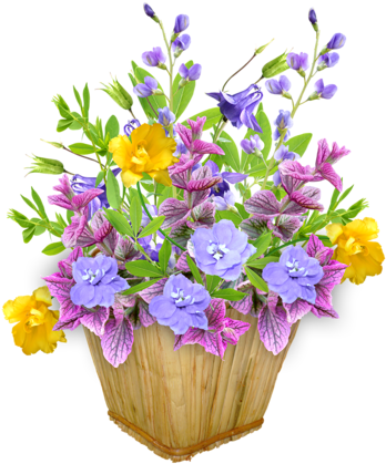 Flôres & Jardim E - Gif Bonne Fête Chantale (367x500)