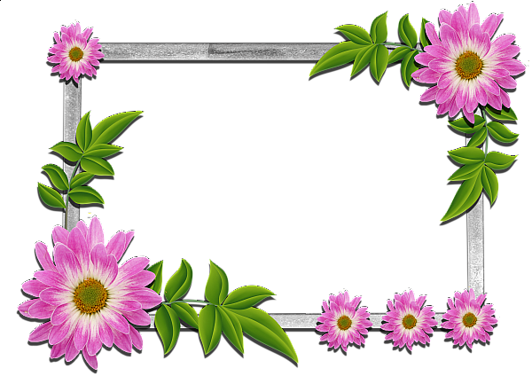 Flowers Frame - Frame Flower (600x424)