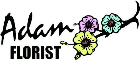 Quincy, Il Florist - Flugangst ... Und Weitere Humorvolle Kurzgeschichten (640x264)