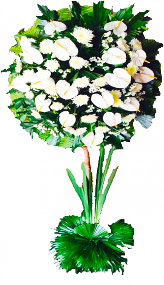 Sympathy Standee Single Layer White Chrysanthemum White - Chrysanthemum (780x975)