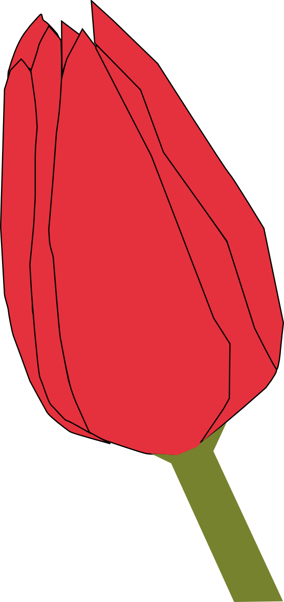 Flowers Xochi Tulip Flowers Openclipart - Bud Clipart (555x1176)