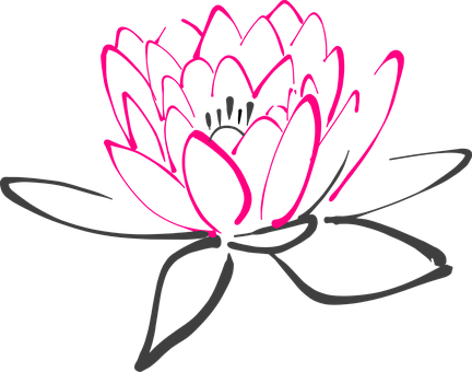 Water Lily Flower Pink Lotus Lily Blossom - Water Lily Vector Png (432x340)