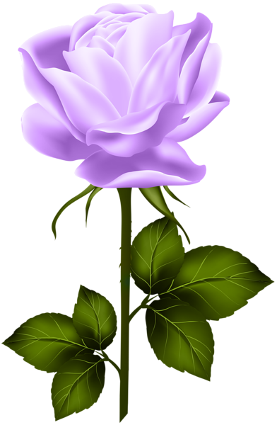 Purple Rose With Stem Png Clip Art - Rose Yellow Png (392x600)