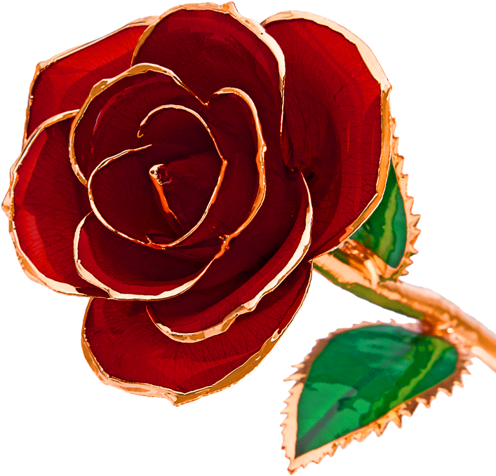 24k Gold-dipped Roses - 24 Karat Dipped Rose (715x700)