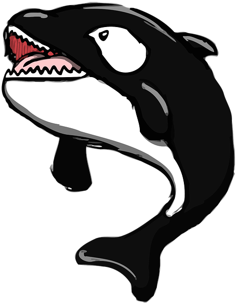 Cartoon Whales Pictures 24, Buy Clip Art - Mammal (558x720)