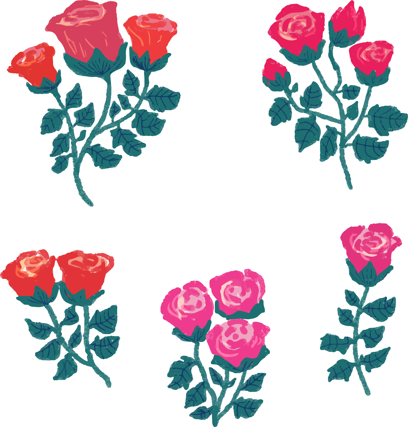 Garden Roses Beach Rose Rosa Gallica Flower Clip Art - Garden Roses Beach Rose Rosa Gallica Flower Clip Art (1646x1722)
